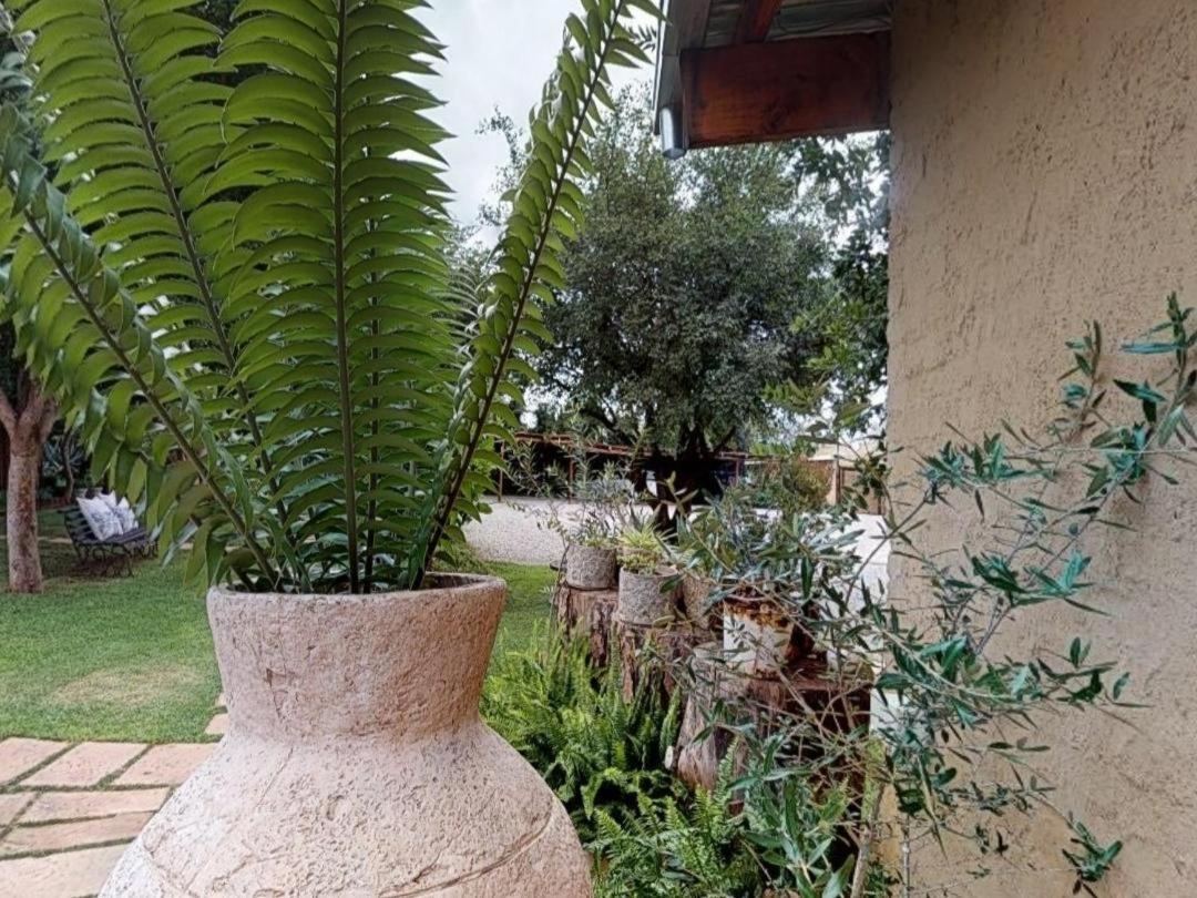 Cradle Valley Boutique Guesthouse Muldersdrift Luaran gambar