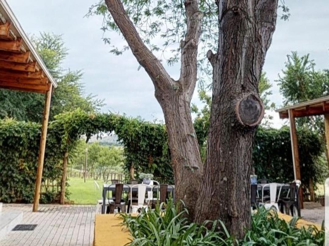 Cradle Valley Boutique Guesthouse Muldersdrift Luaran gambar